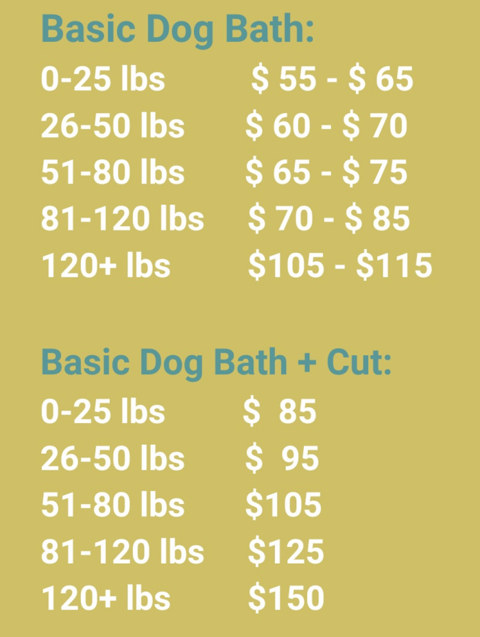 Illustration of Economical Pet Grooming Services